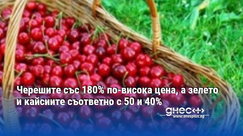 Черешите със 180% по-висока цена, а зелето и кайсиите съответно с 50 и 40%