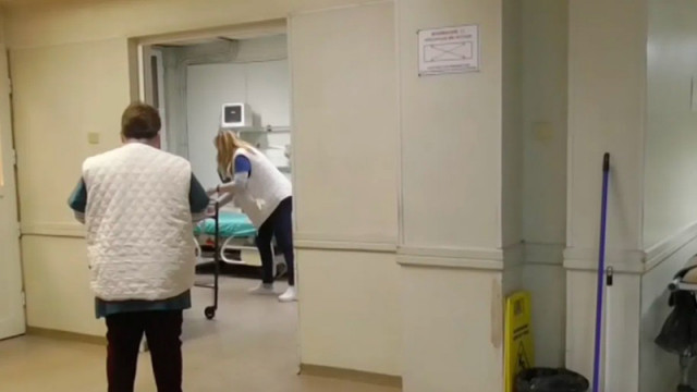 Нашествие на дървеници в Спешния център във Видин
