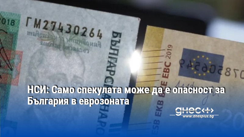 НСИ: Само спекулата може да е опасност за България в еврозоната