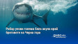 Рибар улови голяма бяла акула край бреговете на Черна гора