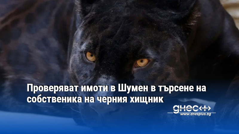 Проверяват имоти в Шумен в търсене на собственика на черния хищник