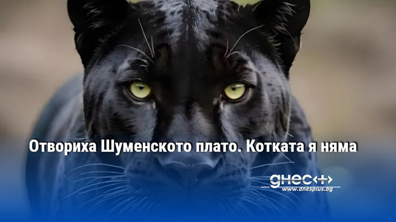 Отвориха Шуменското плато. Котката я няма