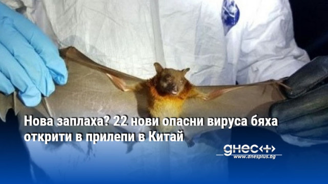 Нова заплаха? 22 нови опасни вируса бяха открити в прилепи в Китай