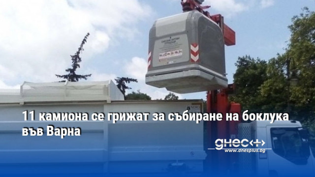 11 камиона се грижат за събиране на боклука във Варна