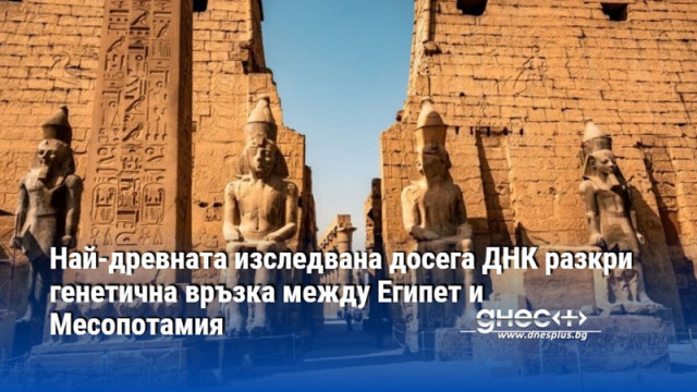 Най-древната изследвана досега ДНК разкри генетична връзка между Египет и Месопотамия