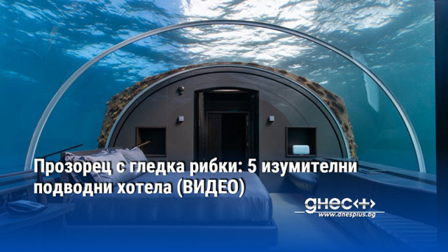 Прозорец с гледка рибки: 5 изумителни подводни хотела (ВИДЕО)