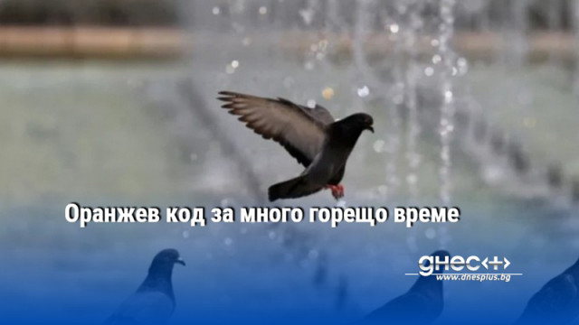 Оранжев код за много горещо време