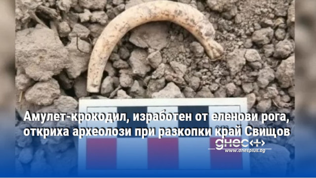 Амулет-крокодил, изработен от еленови рога, откриха археолози при разкопки край Свищов