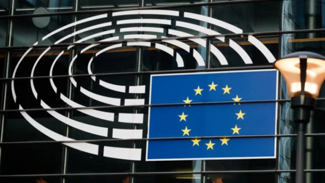 Ева Майдел: "Европа на суверенните нации" ще гласува против България в еврозоната