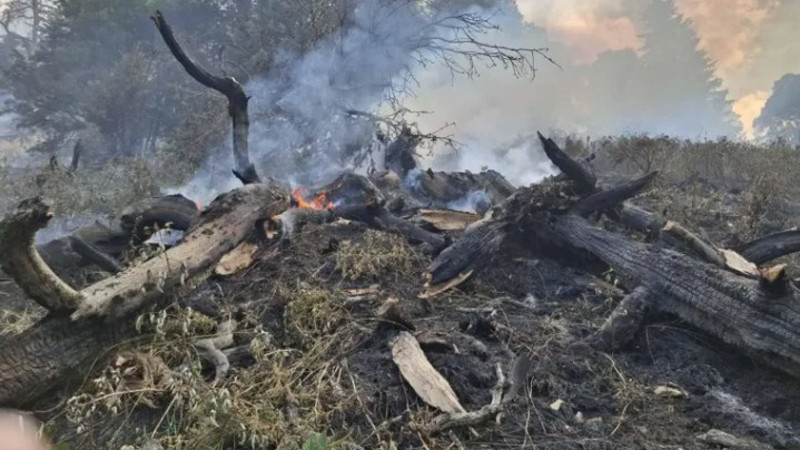 Гасенето на пожара в парк "Рилски манастир" продължава