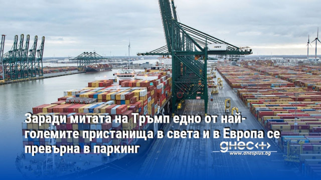 Заради митата на Тръмп едно от най-големите пристанища в света и в Европа се превърна в паркинг