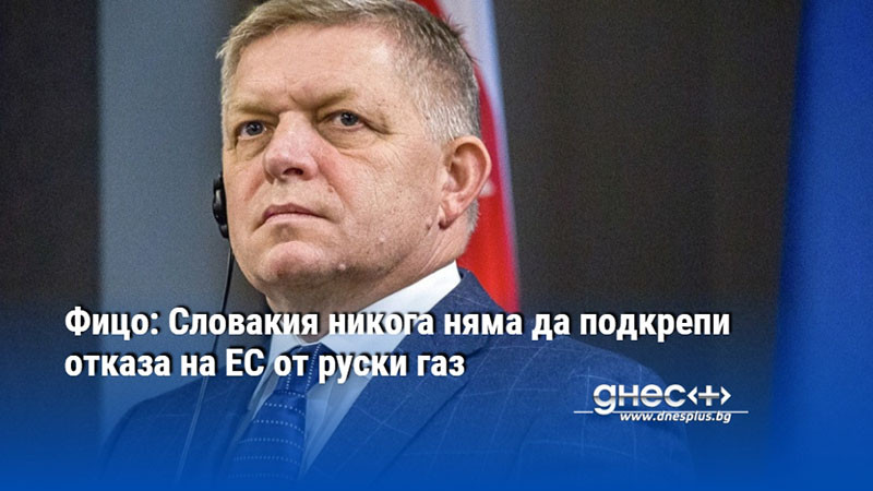 Фицо: Словакия никога няма да подкрепи отказа на ЕС от руски газ