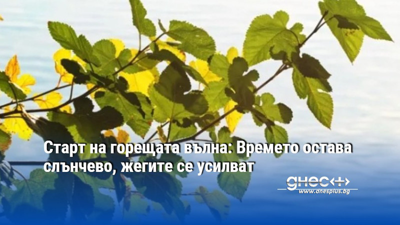 Старт на горещата вълна: Времето остава слънчево, жегите се усилват