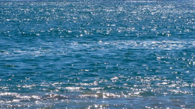 Почивки, море, жега и селски събори – темите, които най-много вълнуват българите през лятото