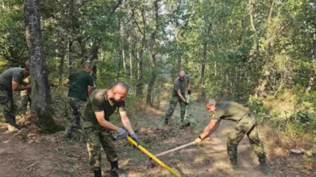 Военни се включват в гасенето на пожара край Асеновград