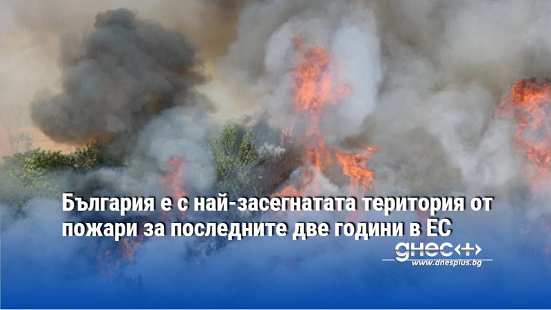 България е с най-засегнатата територия от пожари за последните две години в ЕС