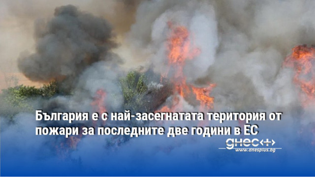 България е с най-засегнатата територия от пожари за последните две години в ЕС