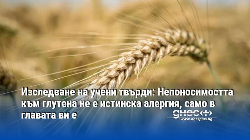 Изследване на учени твърди: Непоносимостта към глутена не е истинска алергия, само в главата ви е