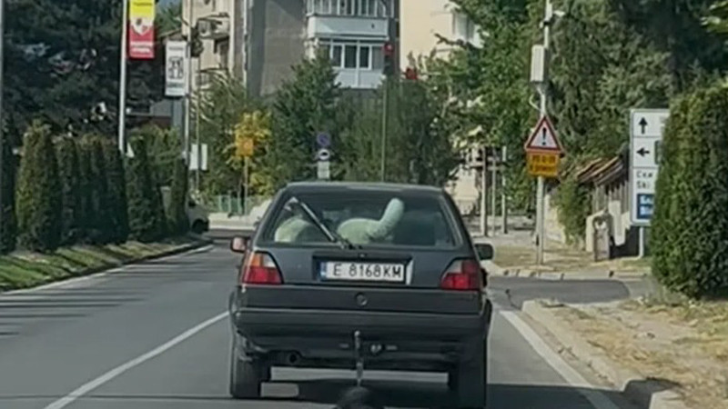 Поредно скандално видео: Мъж влачи куче с колата си в Банско