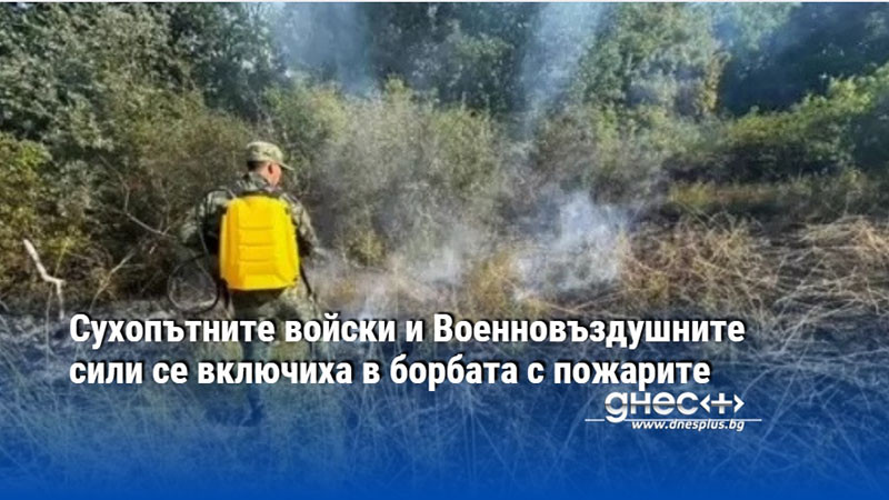 Сухопътните войски и Военновъздушните сили се включиха в борбата с пожарите