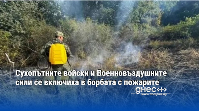 Сухопътните войски и Военновъздушните сили се включиха в борбата с пожарите