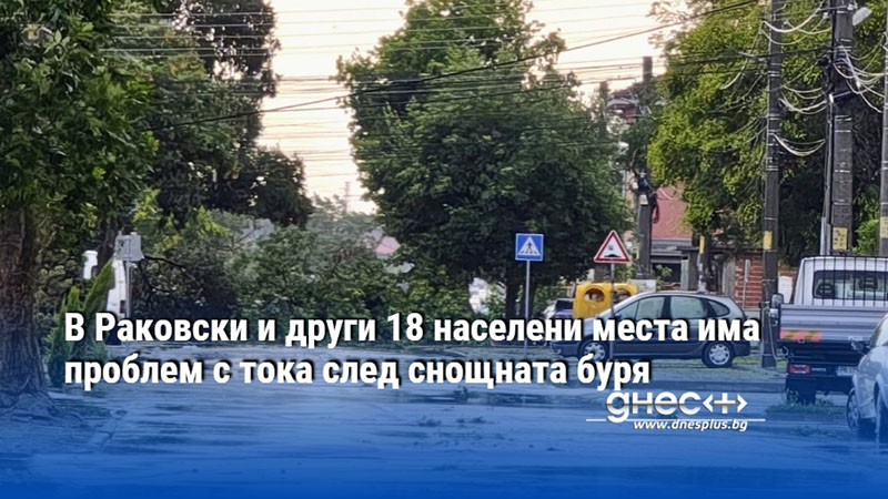 В Раковски и други 18 населени места има проблем с тока след снощната буря