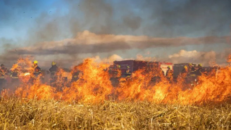 Жители на хасковска област се обединяват в борбата срещу умишлените