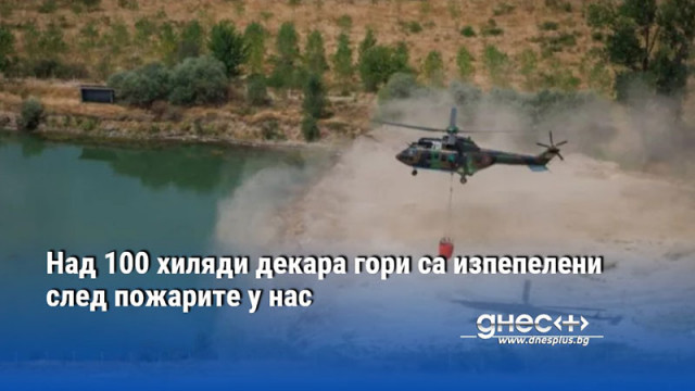 Над 100 хиляди декара гори са изпепелени след пожарите у нас