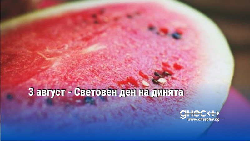 3 август - Световен ден на динята