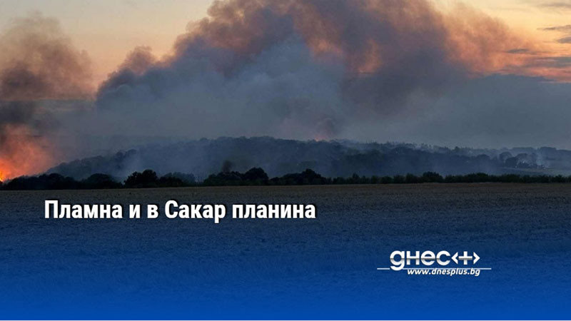 Пламна и в Сакар планина
