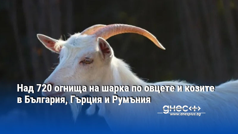 Над 720 огнища на шарка по овцете и козите в България, Гърция и Румъния