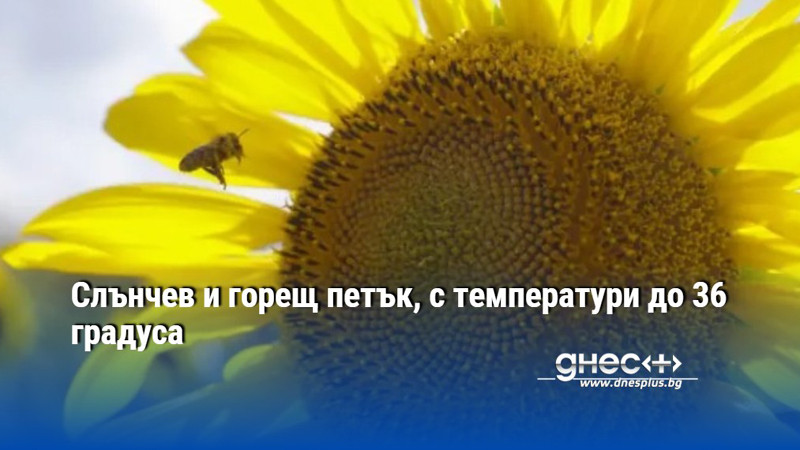 Слънчев и горещ петък, с температури до 36 градуса