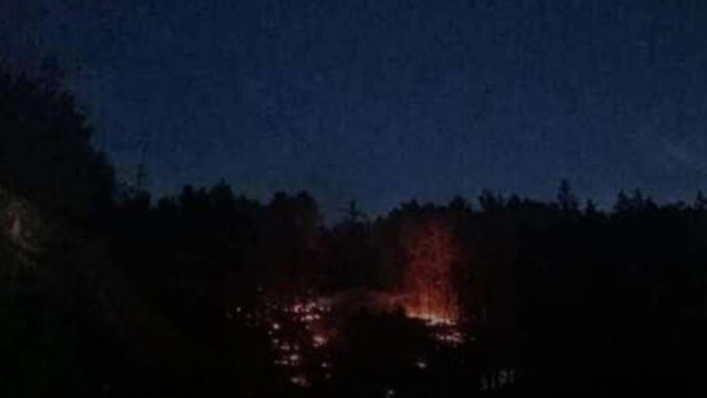 Големият пожар над Шумен тръгнал от деца, играли си с пиратки
