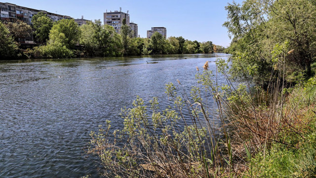 Намериха тяло на млад мъж във водите на Марица