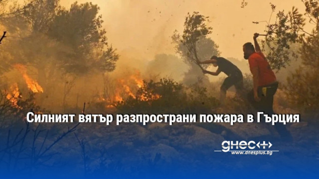 Силният вятър разпространи пожара в Гърция