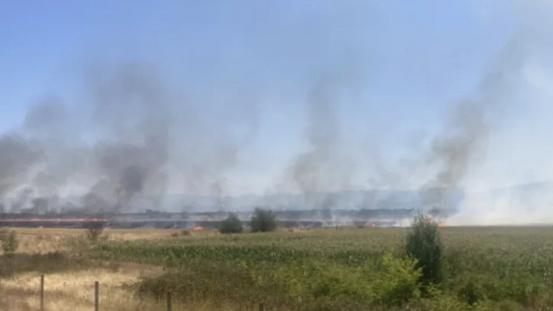 Пожар край 86-ия км на АМ „Тракия“ затрудни движението към Бургас
