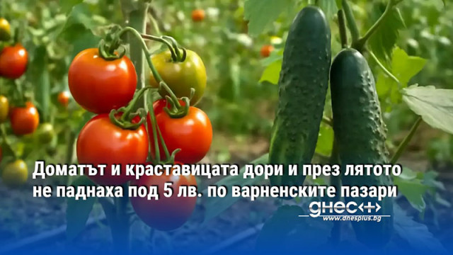 Доматът и краставицата дори и през лятото не паднаха под 5 лв. по варненските пазари