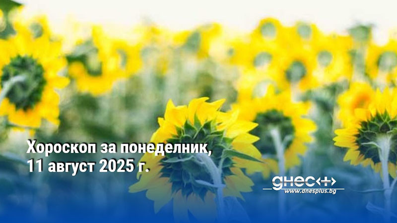 Хороскоп за понеделник, 11 август 2025 г.