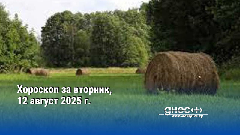 Хороскоп за вторник, 12 август 2025 г.