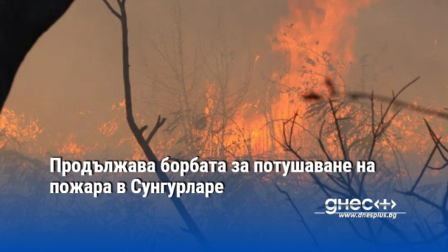 Продължава борбата за потушаване на пожара в Сунгурларе