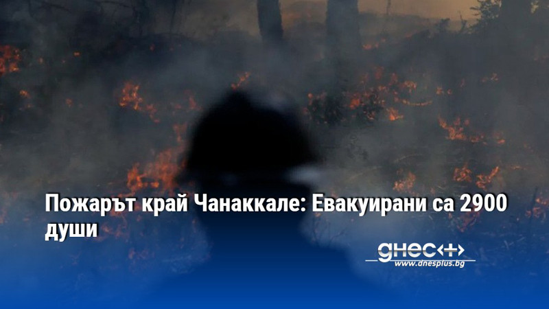 Пожарът край Чанаккале: Евакуирани са 2900 души