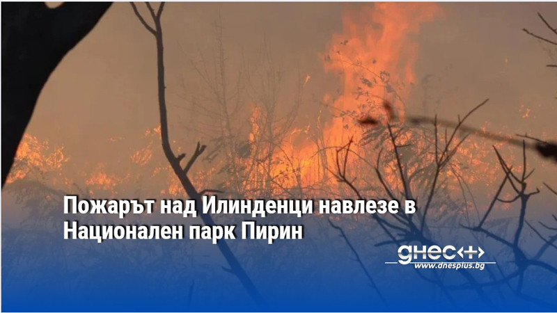 Пожарът над Илинденци навлезе в Национален парк Пирин