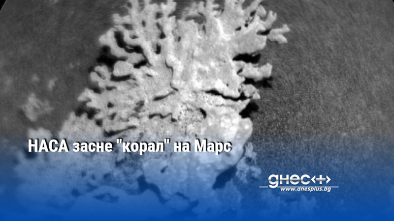 НАСА засне "корал" на Марс