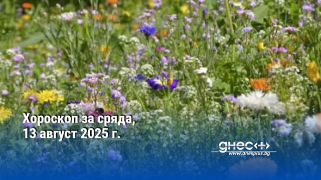 Хороскоп за сряда, 13 август 2025 г.
