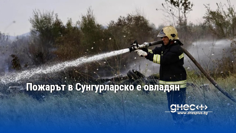 Пожарът в Сунгурларско е овладян