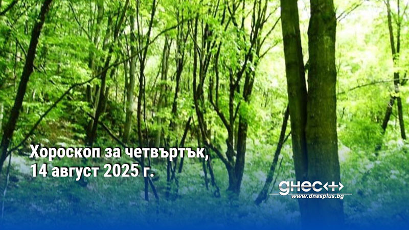 Хороскоп за четвъртък, 14 август 2025 г.