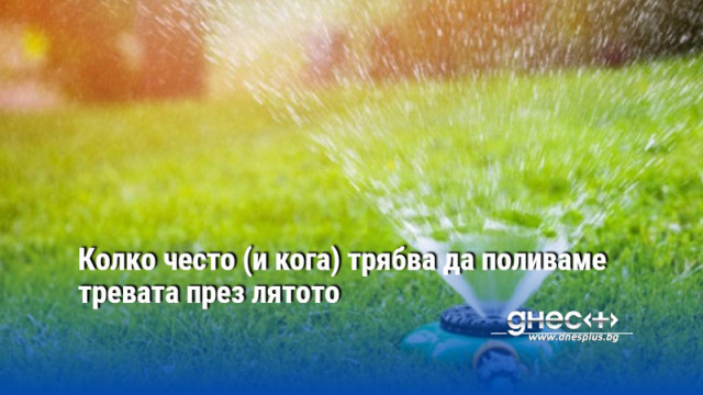 Колко често (и кога) трябва да поливаме тревата през лятото
