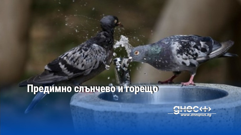 Предимно слънчево и горещо