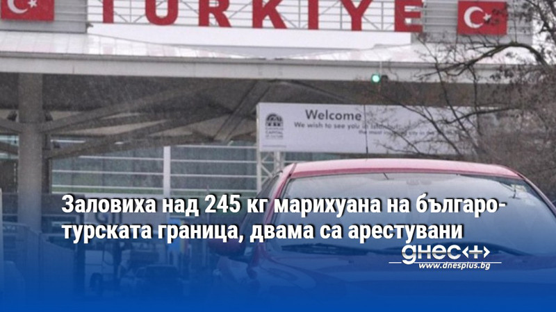 Заловиха над 245 кг марихуана на българо-турската граница, двама са арестувани