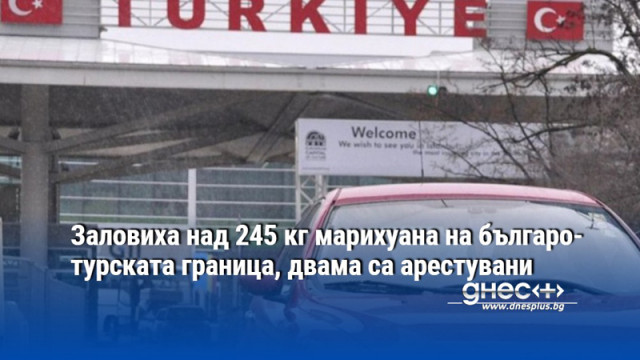 Заловиха над 245 кг марихуана на българо-турската граница, двама са арестувани